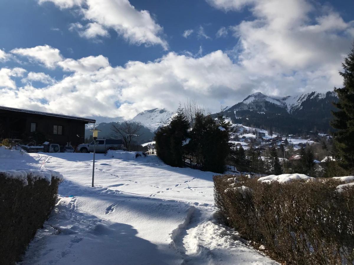 L'Onyx - Domaine De Nant Cruy Villa Sallanches Kültér fotó